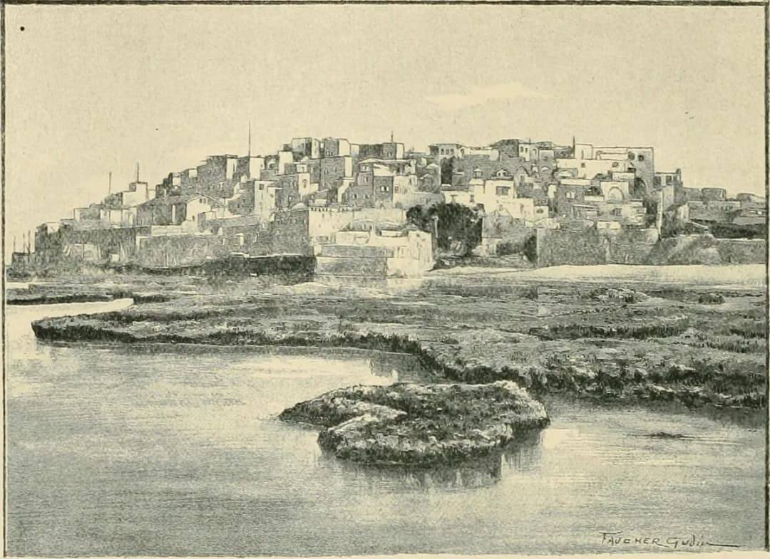 The struggle of the nations - Egypt, Syria, and Assyria (1896) (14591468889)