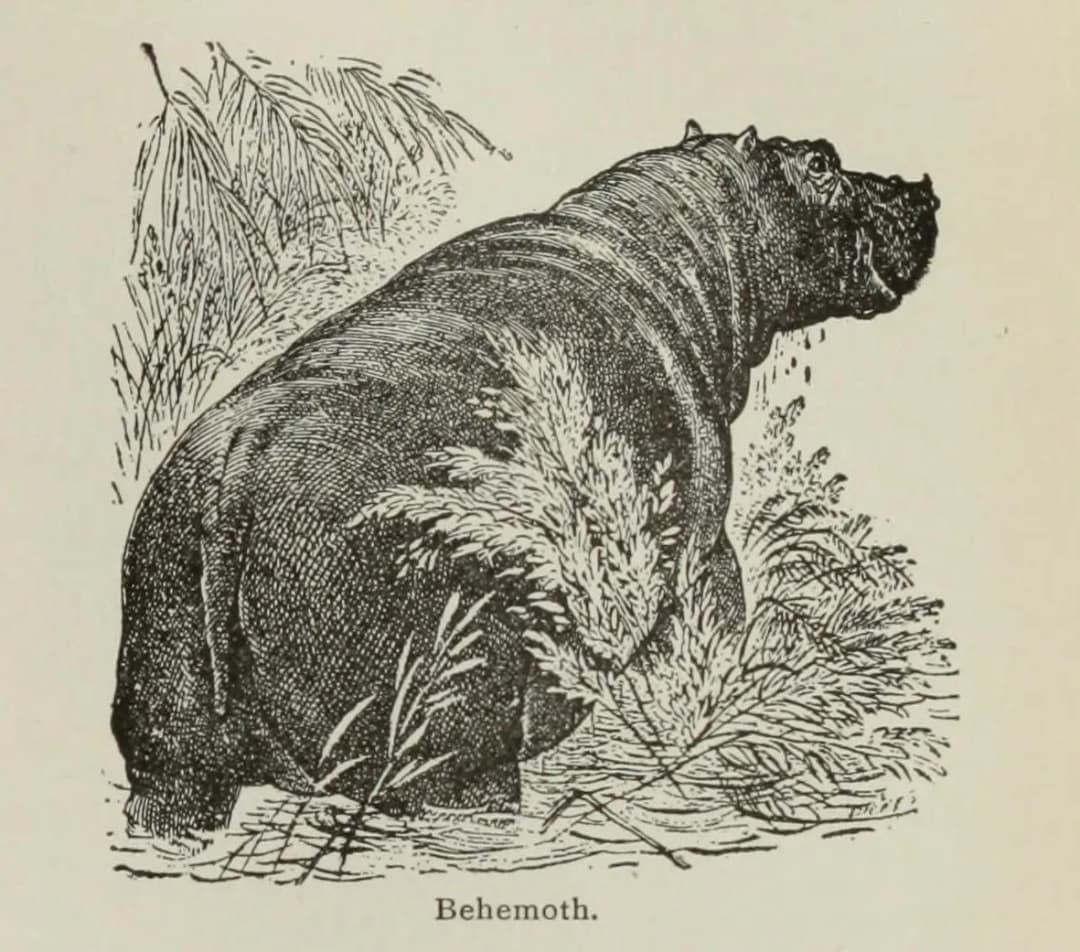 Behemoth. from The popular and critical Bible encyclopædia and Scriptural dictionary, fully defining and explaining all religious terms, including biographical, geographical, historical, archaeological and doctrinal (14778781922)