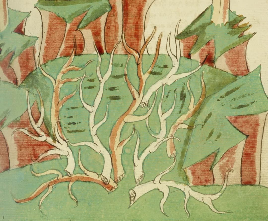 A Landscape with Trees, Thorn Bushes, and a Dove