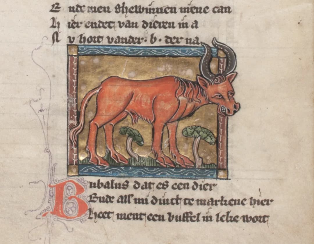 Der naturen bloeme - Jacob van Maerlant - KB KA 16 - folios 046v (left) and 047r (right)