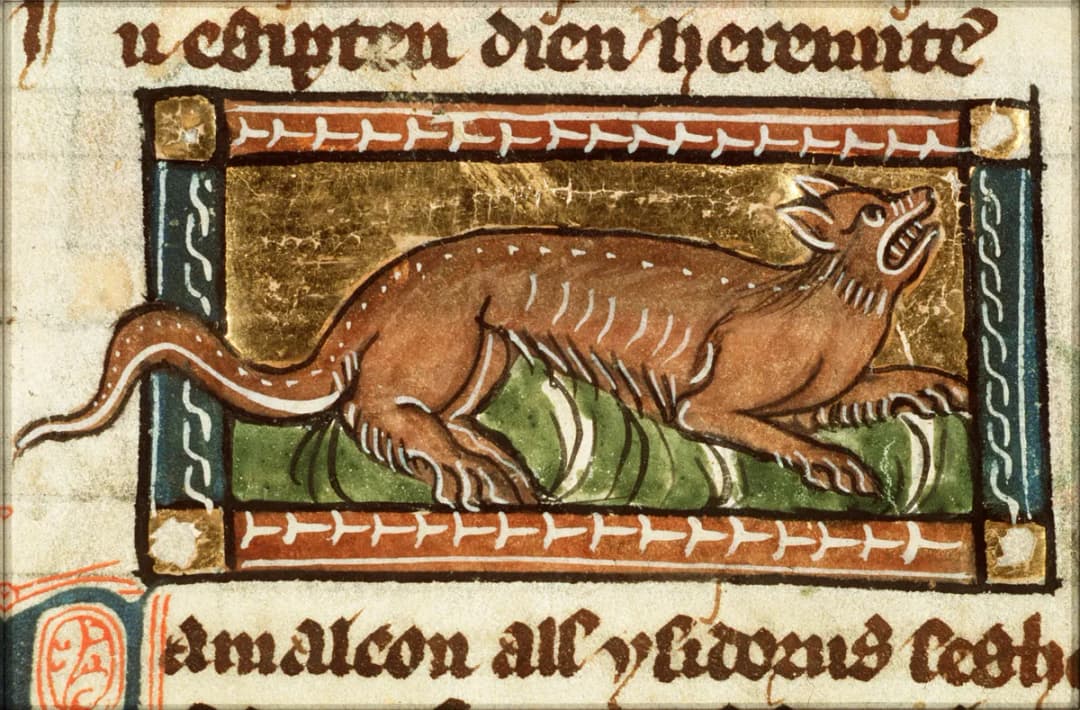 Cameleon (chameleon) - miniature from folio 123r from Der naturen bloeme (KB KA 16) by Jacob van Maerlant