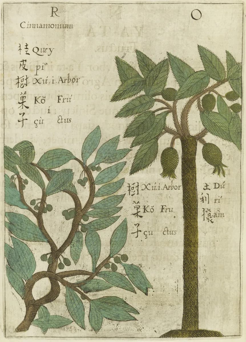 Flora Sinensis frvctvs floresqve hvmillime porrigens ... Leopoldo Ignatio Hungariae regi ... emissa in publicum a R.P. Michaele Boym, Societatis Iesv sacerdote et a domo professa ejusdem Societatis Viennae majestati suae ... oblata anno ... M. DC. LVI.