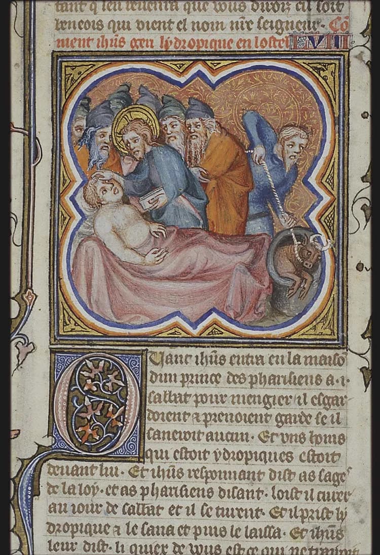 Christ healing a man with dropsy; pulling the ox out of the pit on Sabbath
