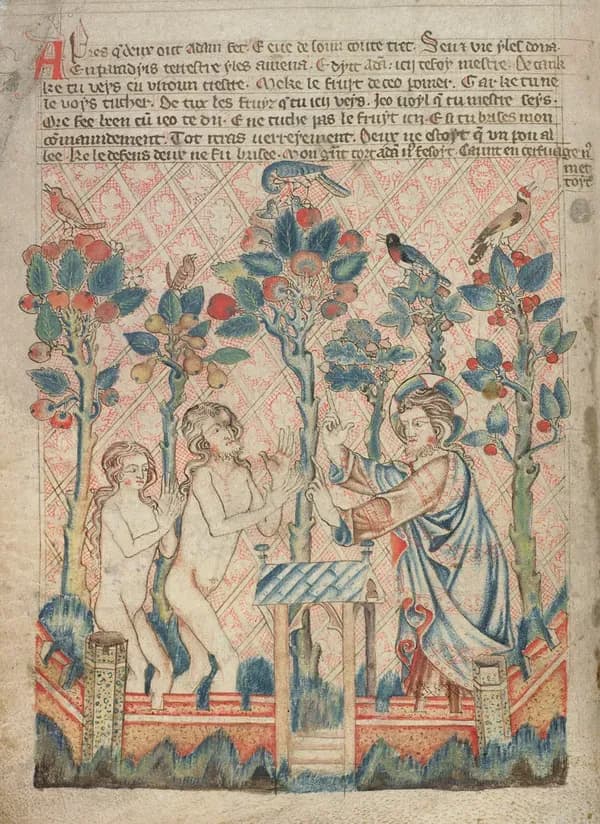 f. 3v The Tree of Knowledge