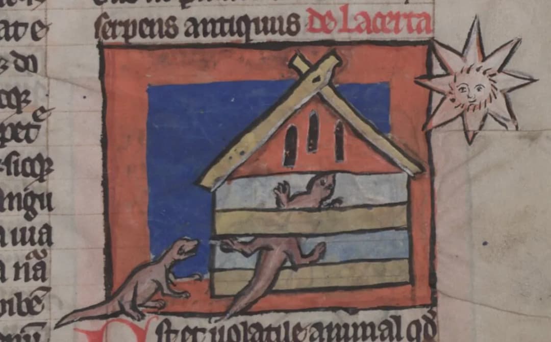 De naturis rerum / Physiologus, folio 151r