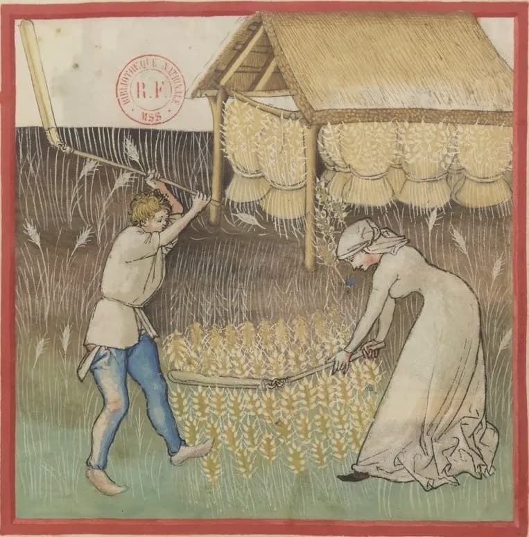 Threshing (folio 42r)