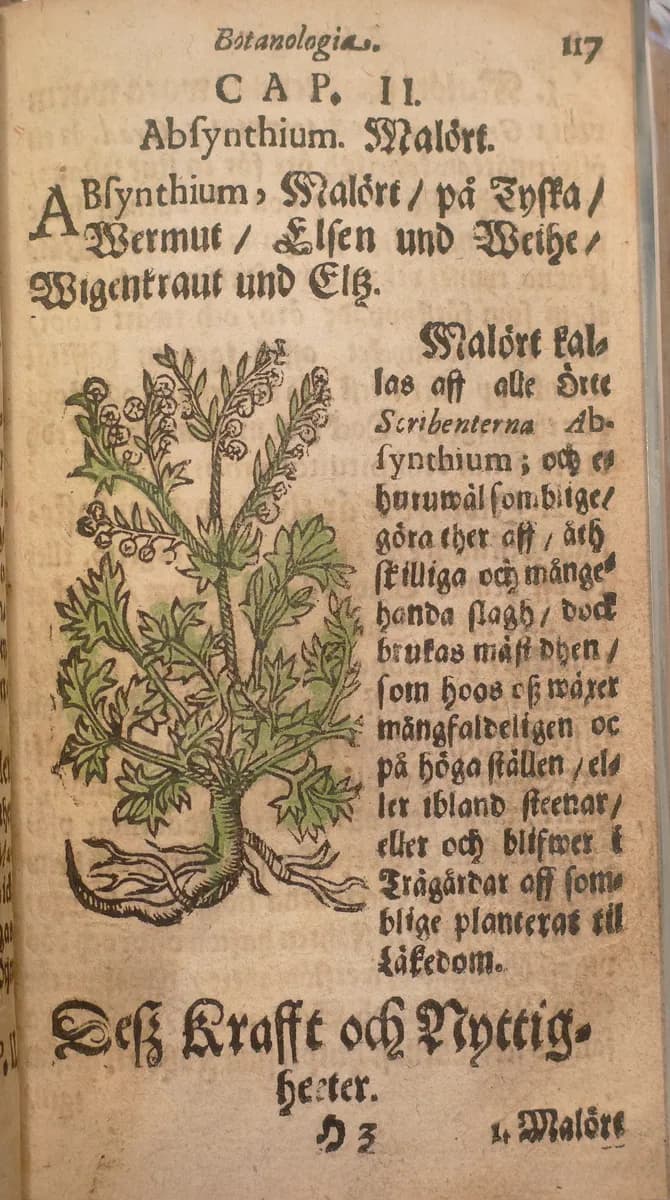 Swenske Örtekrantz malört