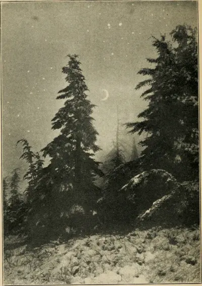 Astronomy and the Bible; (1919) (14762920572)