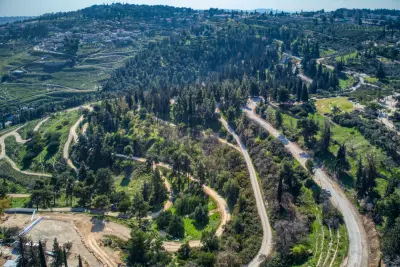 AzalValleyFeb252023 02