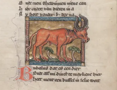 Der naturen bloeme - Jacob van Maerlant - KB KA 16 - folios 046v (left) and 047r (right)