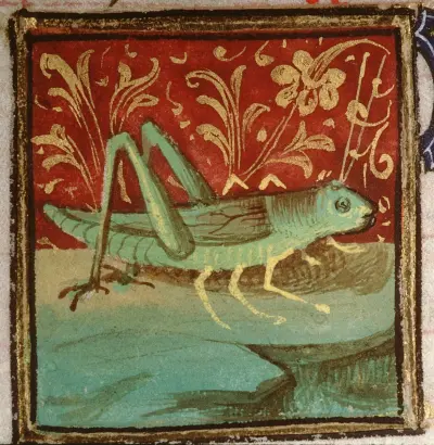 Livre des propriétés des choses (De proprietatibus rerum)