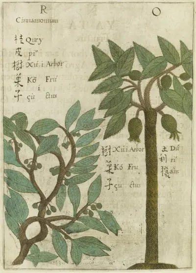 Flora Sinensis frvctvs floresqve hvmillime porrigens ... Leopoldo Ignatio Hungariae regi ... emissa in publicum a R.P. Michaele Boym, Societatis Iesv sacerdote et a domo professa ejusdem Societatis Viennae majestati suae ... oblata anno ... M. DC. LVI.