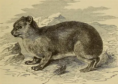 A dictionary of the Bible.. (1887) (14801507013)