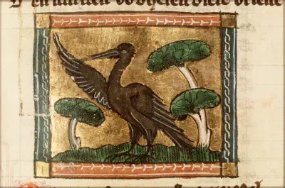 Morpex (cormorant) - miniature from folio 094r from Der naturen bloeme (KB KA 16) by Jacob van Maerlant
