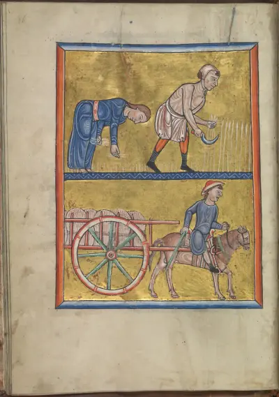 Calendar, August, people reaping corn, gleaning, harvesting - Psalter of Eleanor of Aquitaine (ca. 1185) - KB 76 F 13, folium 008v