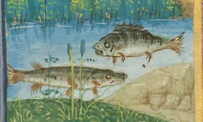 February Calendar Page; Keeping Warm; Pisces