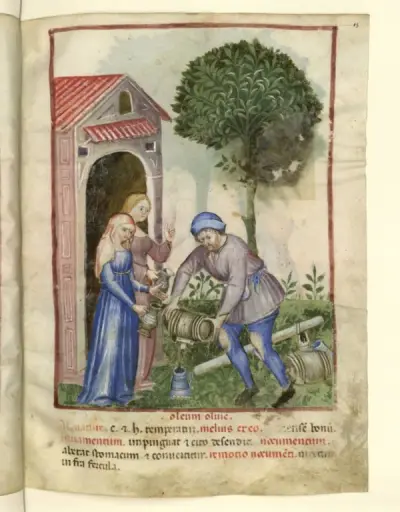 Seller of olive oil - from Tacuinum Sanitatis, c. 1390-1400