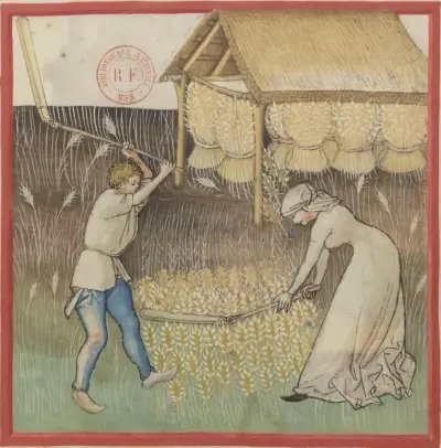 Threshing (folio 42r)