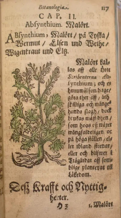 Swenske Örtekrantz malört