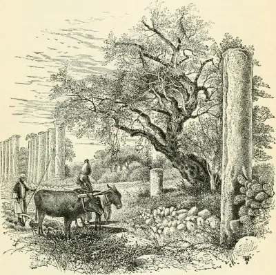 The Holy Land and the Bible; (1888) (14781908515)